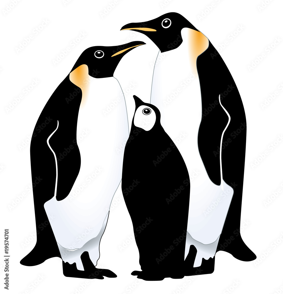 Fototapeta premium Pinguin Familie