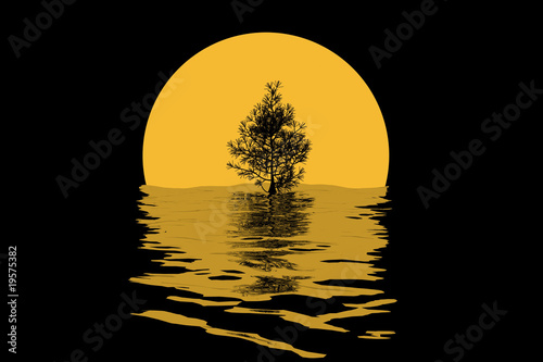 Canvas-taulu tree and moon