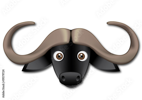 Cabeza de bufalo