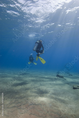 Wallpaper Mural Hovering in the water Torontodigital.ca