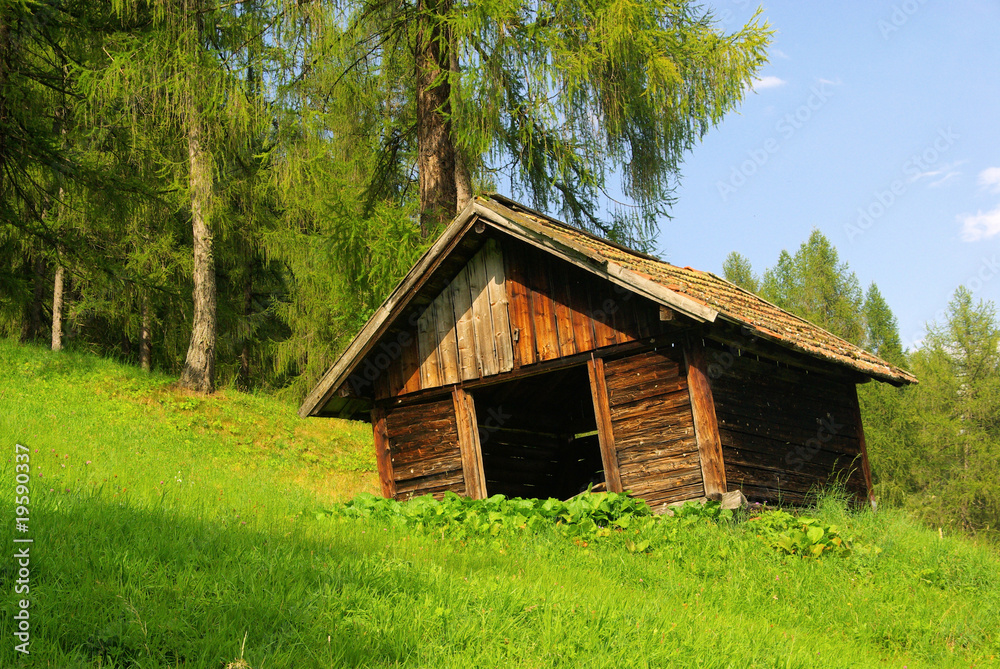 Almhütte - chalet 02