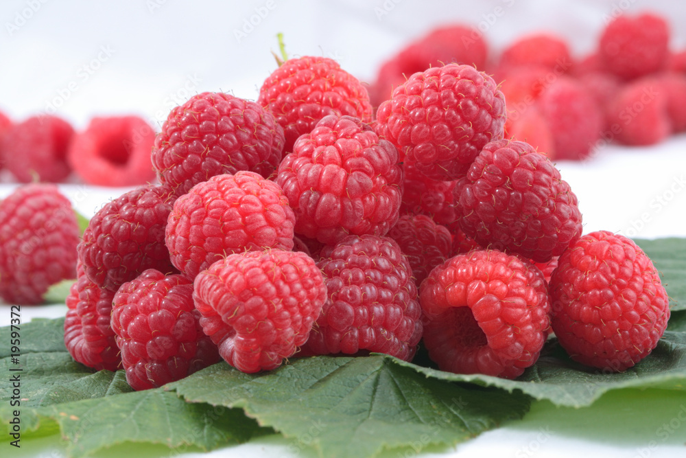 Fresh raspberries Fresh raspberries