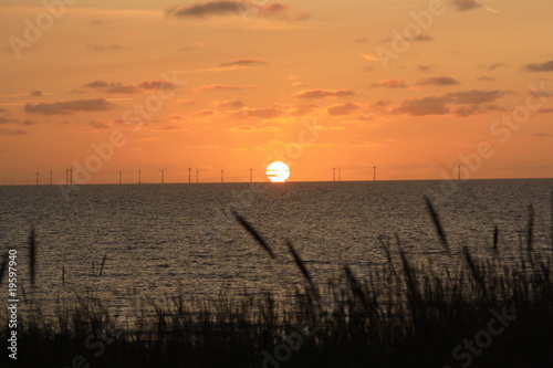 niederlande 7