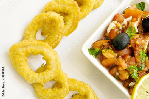 Calamari photo