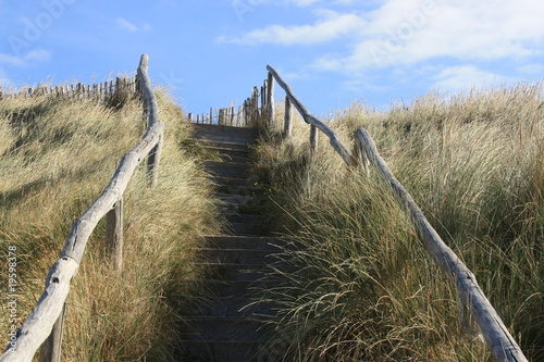 niederlande 20