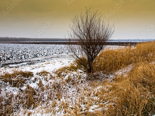 cultivated farm land in winter