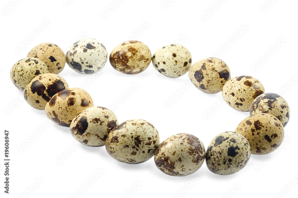 eggs eggs