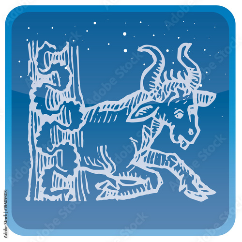 Sternzeichen Stier
