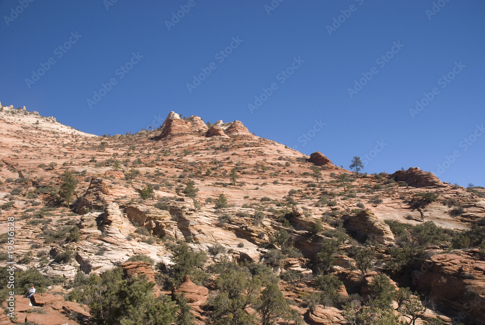 Fototapeta premium Zion National Park, Utah