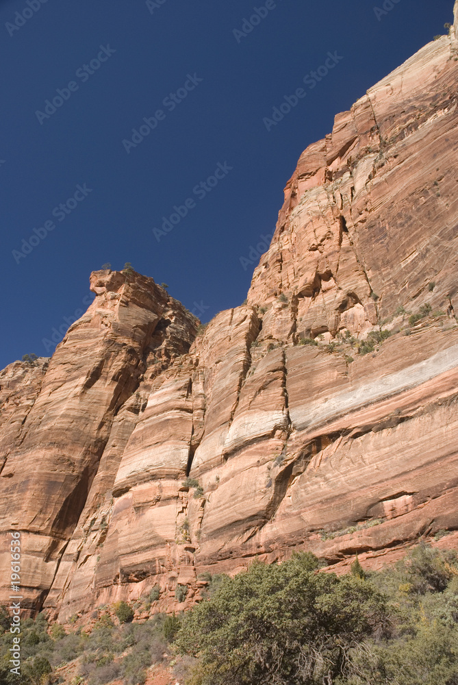 Fototapeta premium Zion National Park, Utah