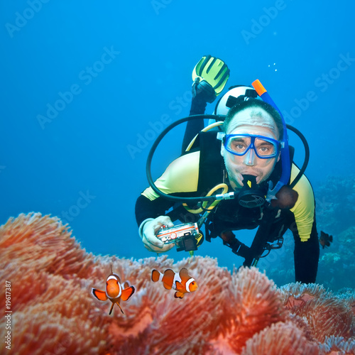 Clownfishes and photographer photo