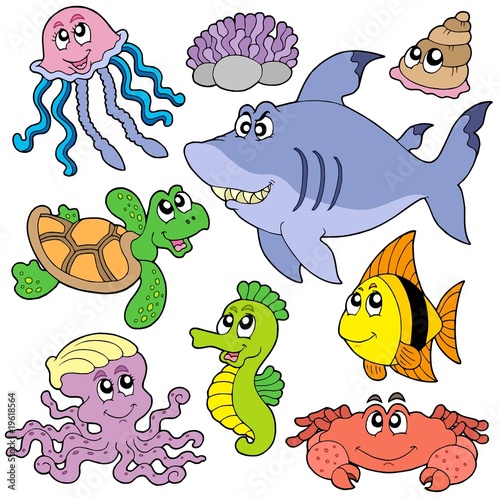 Sea fishes and animals collection 2