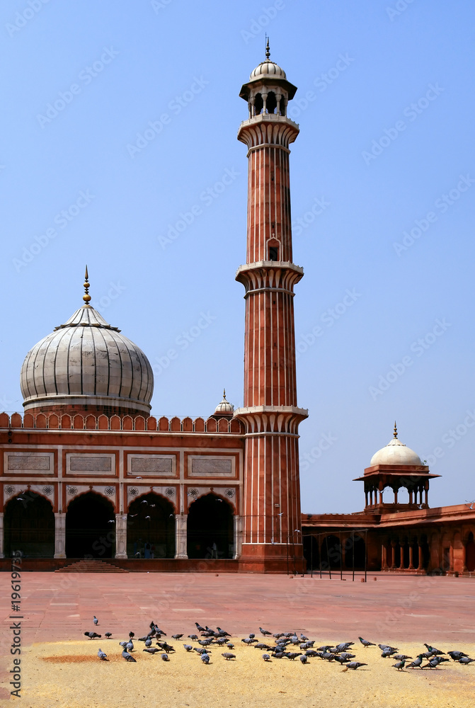 Obraz premium Meczet Jama Masjid. Stare Delhi, Indie
