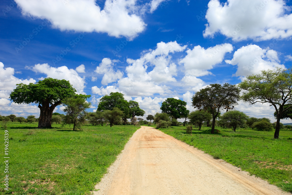 Tarangire national park