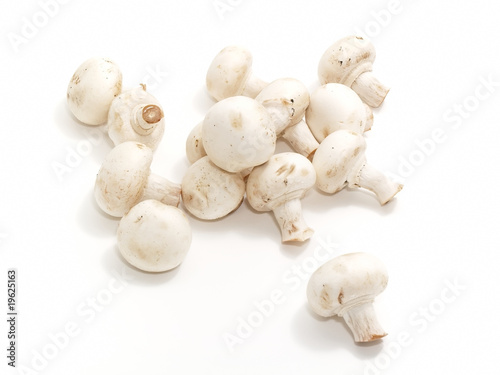 group of champignons