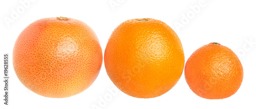 Set of citrus fruit.