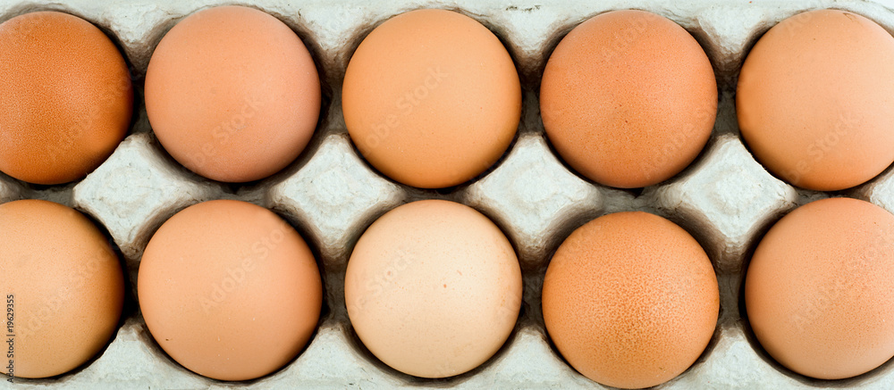 eggs in protective case eggs in protective case