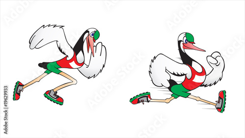running stork vector illustration