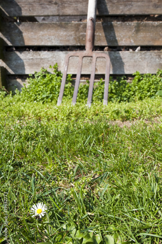 garden work photo