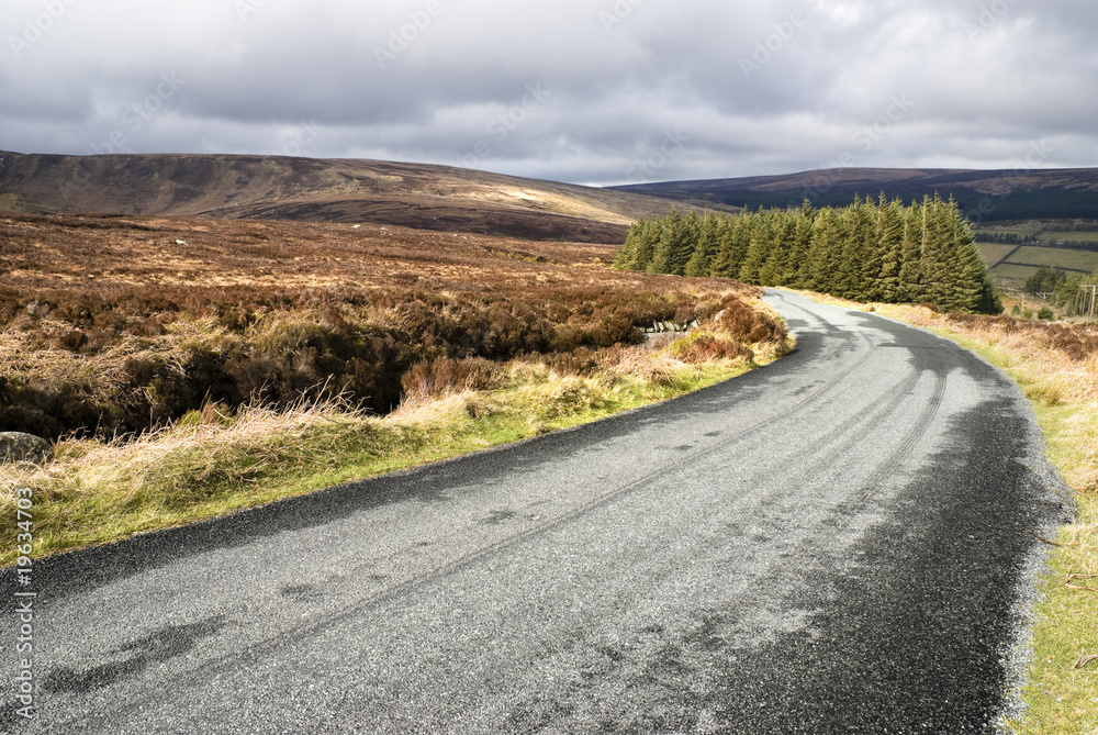 Scenic Road Scenic Road