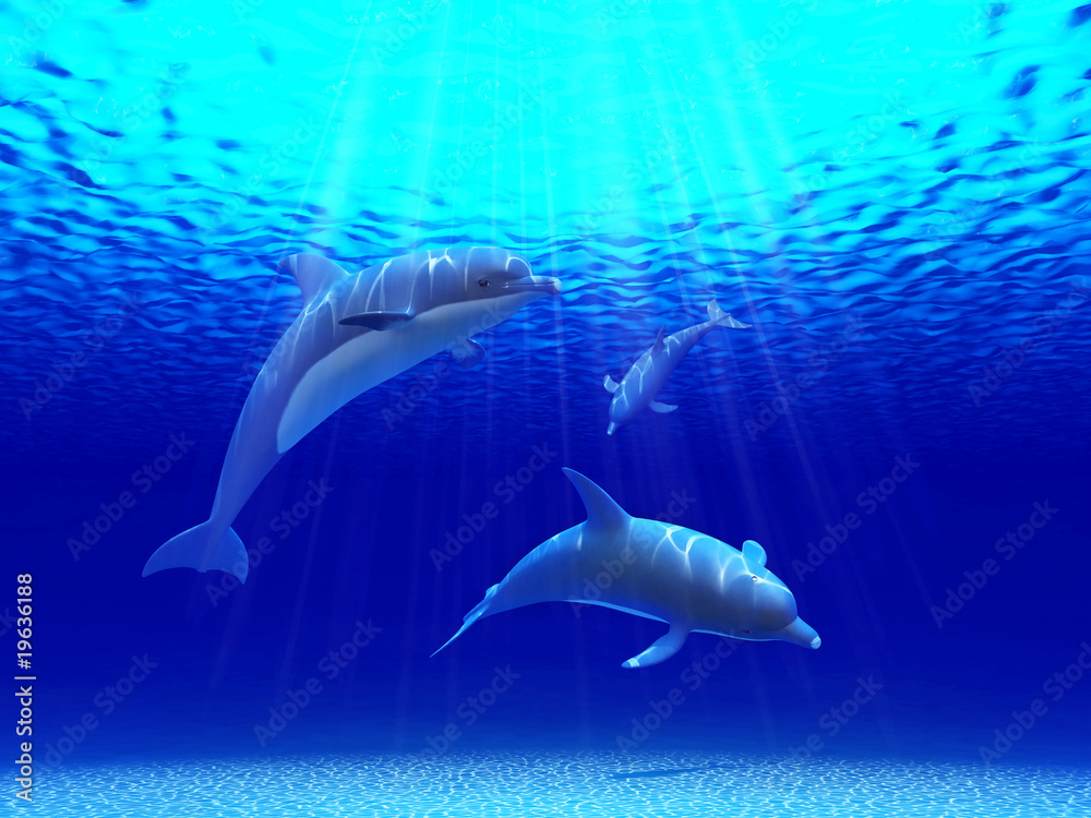 Obraz premium Three dolphins swimming in the ocean