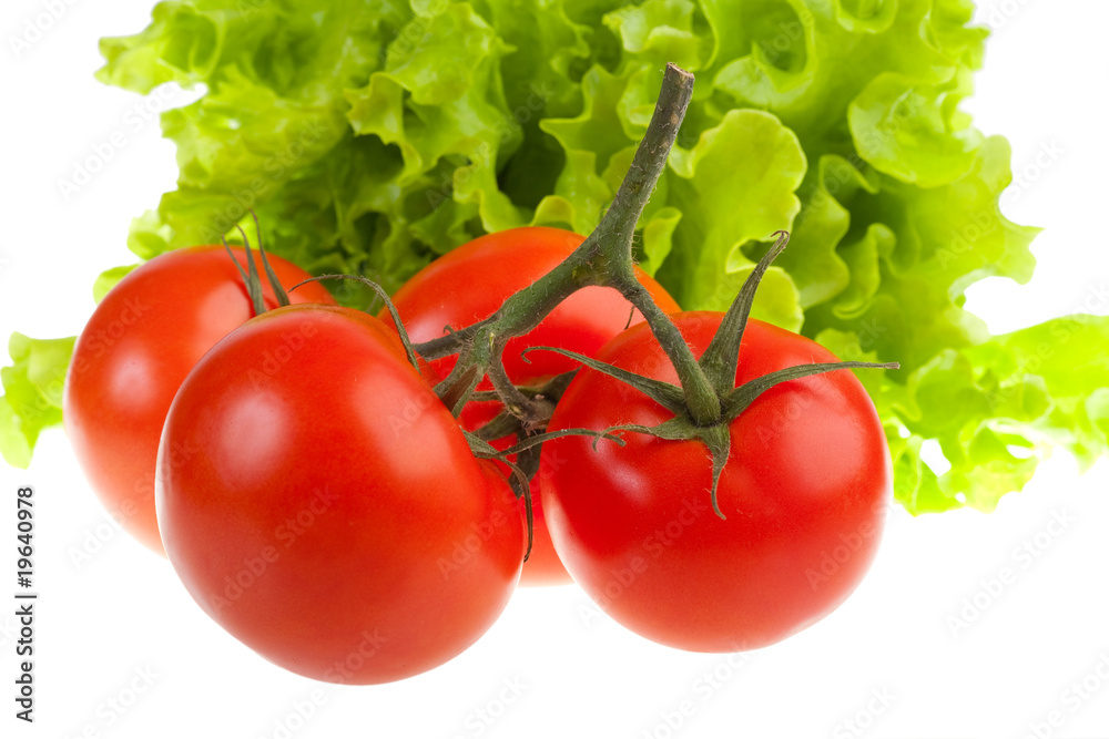 Ripe red tomatoes and green leaves of salad. Ñïåëûå êðàñíûå ïîì Ripe red tomatoes and green leaves of salad. Ñïåëûå êðàñíûå ïîì