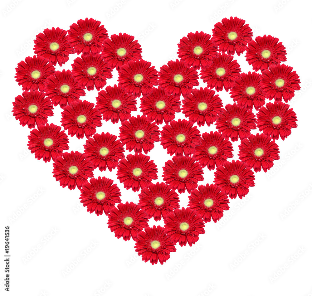 flower heart