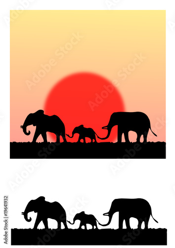 éléphants
