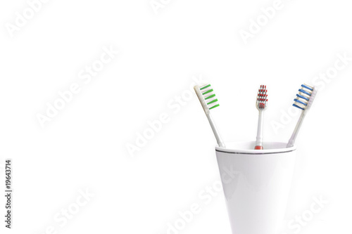 Toothbrushes in a holder