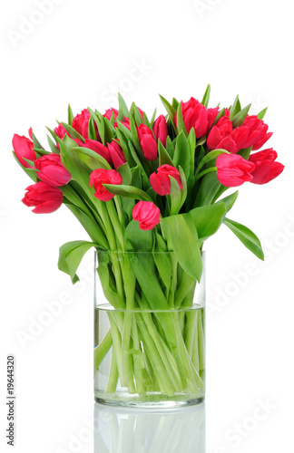 Fototapeta Naklejka Na Ścianę i Meble -  red tulips in the vase isolated on white background
