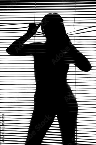 silhouette of a woman looking throughout the jalousie