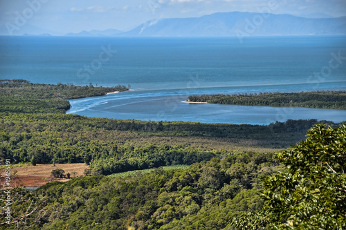 Wallpaper Mural Detail of Daintree National Park, Queensland, Australia Torontodigital.ca