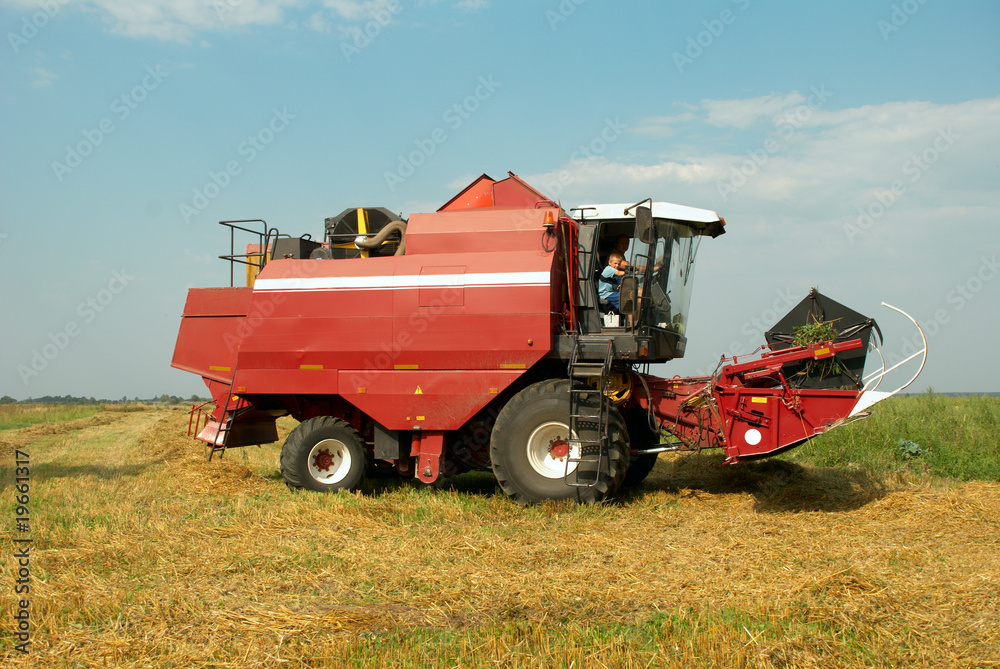 Fototapeta premium Red grain harvester combine in a field