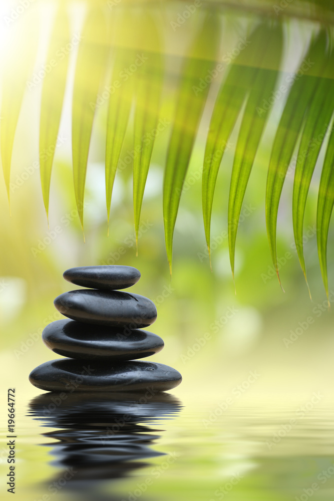 Obraz premium Grean bamboo leaves over zen stones pyramid over water