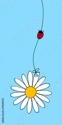 Blümchen & Marienkäfer