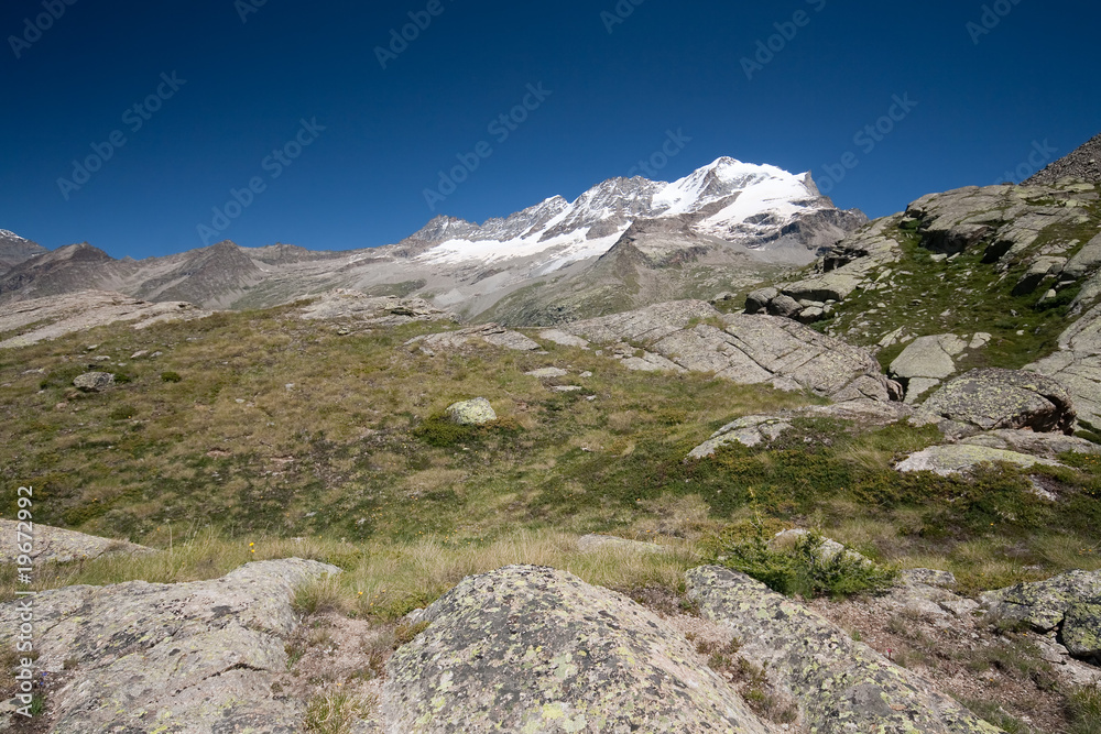 Gran Paradiso dal colle del Nivolet