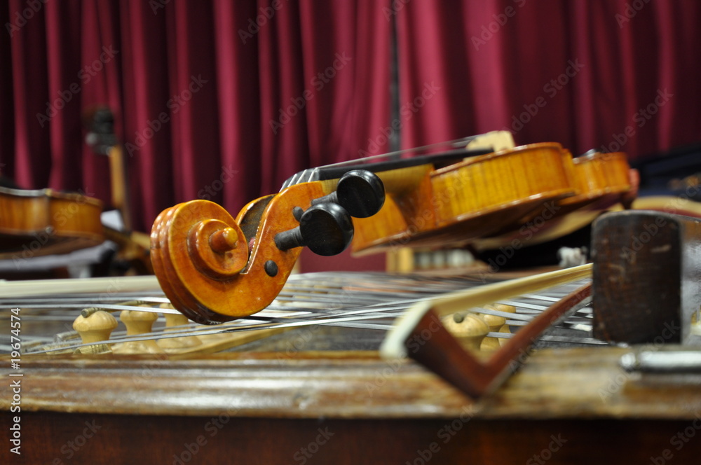 Fototapeta premium violines