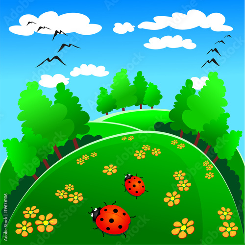 Paesaggio con coccinelle