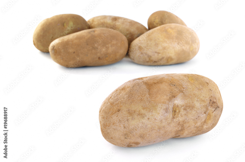 Six Raw Russet Potatoes Six Raw Russet Potatoes