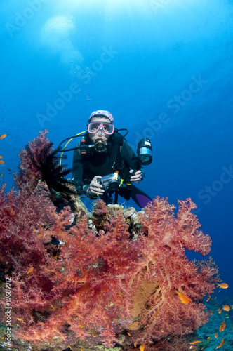 Plongeuse et photo sous marine, Mer Rouge, Egypte