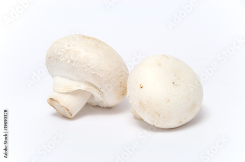 Champignons