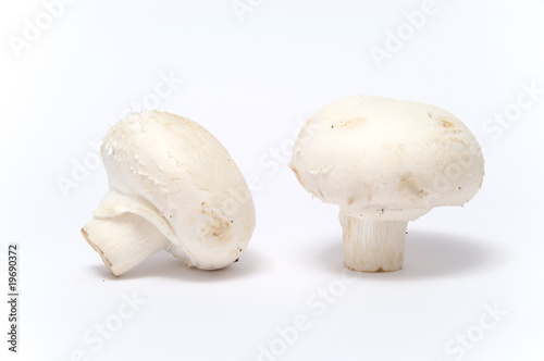 Champignons