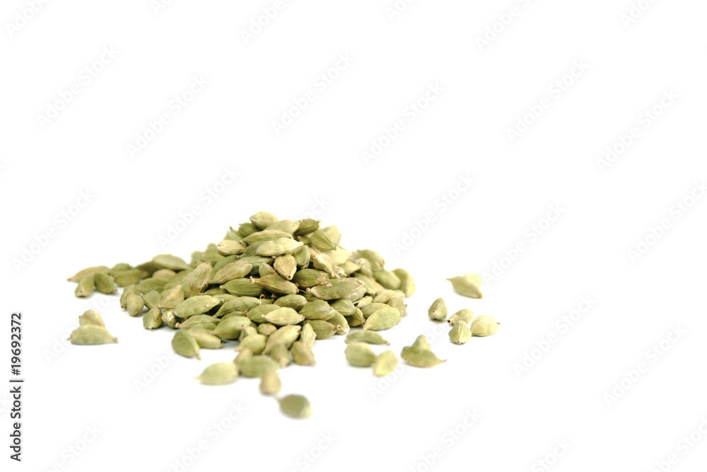 Cardamom Cardamom