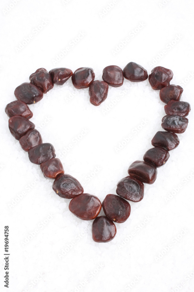 Heart / 心 Heart / 心