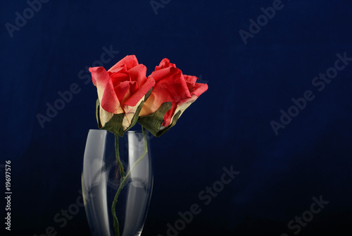 czerwone róże w kieliszku