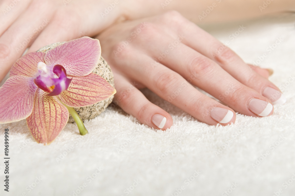 Beautiful hands with perfect nail french manicure Beautiful hands with perfect nail french manicure