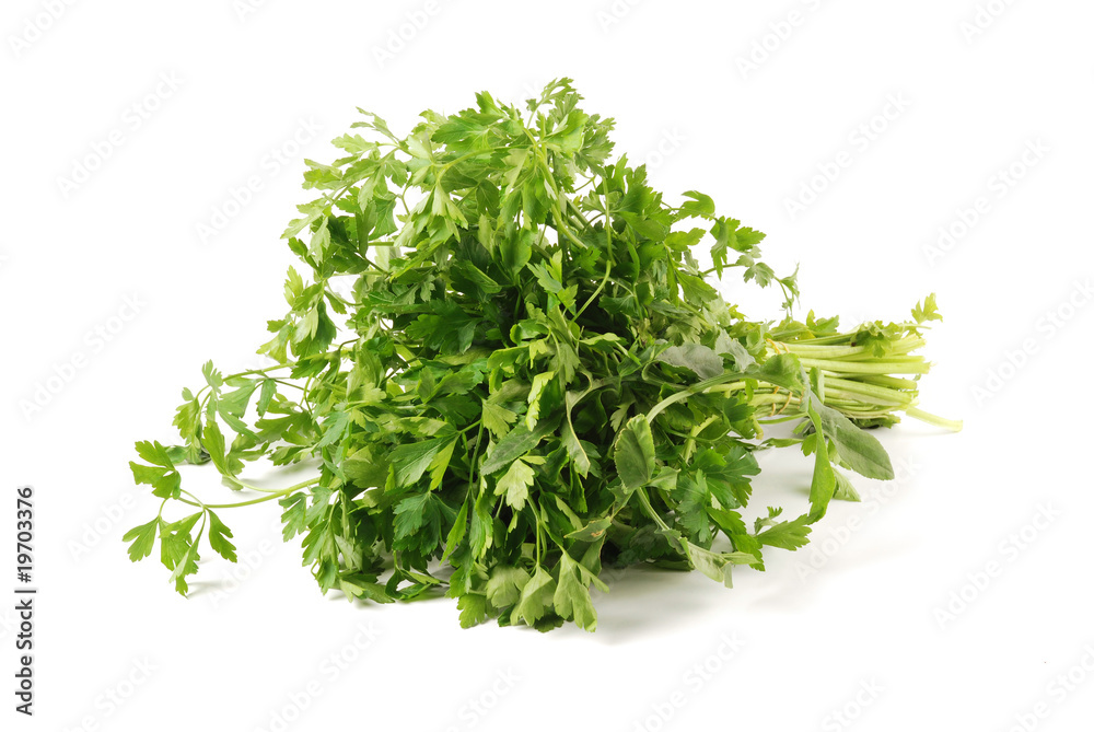 parsley parsley