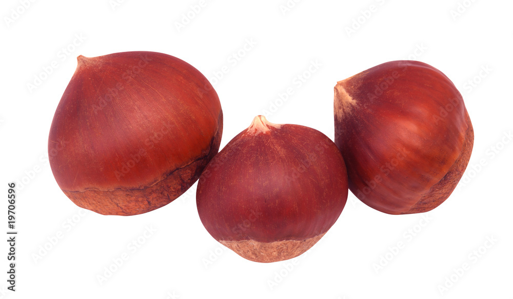 Obraz premium Hazelnuts
