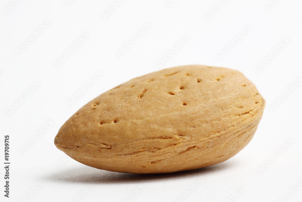 Mandel Mandel