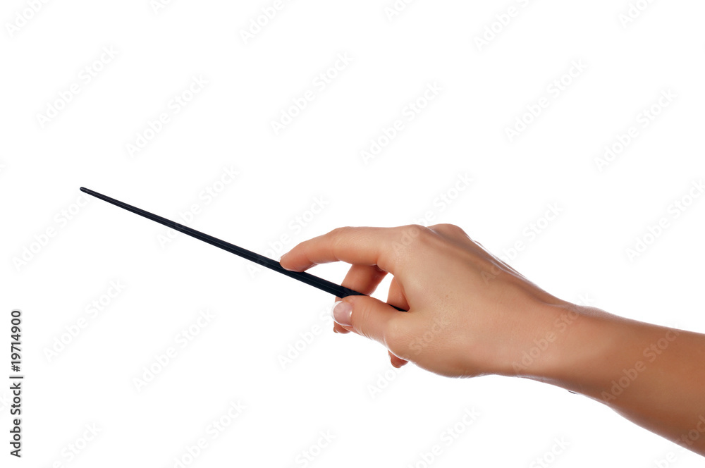 The hand holds a pointer The hand holds a pointer